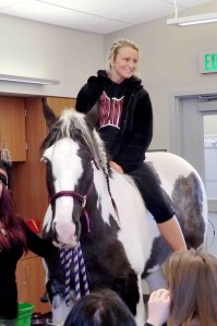 BSD, PCSC, horse, Legacy 2