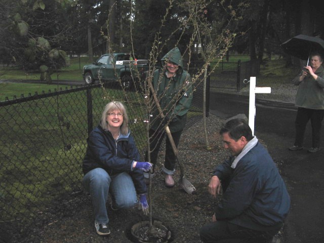 Arbor Day, putting fertilizer in, IMG_0811