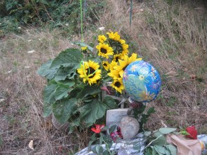 Cori Lewis, flowers, IMG_2272