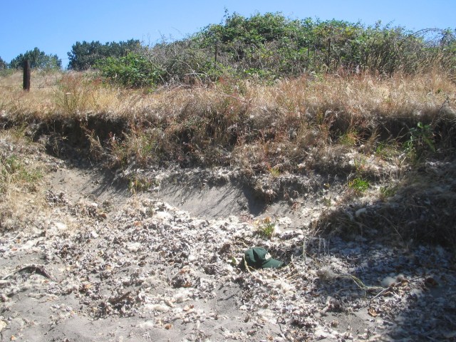 Meyer, best Sand Erosion Tina Bar, 7. 28. 13