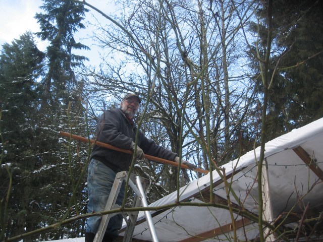 super-bowl-snow-dig-out-2-6-17-1