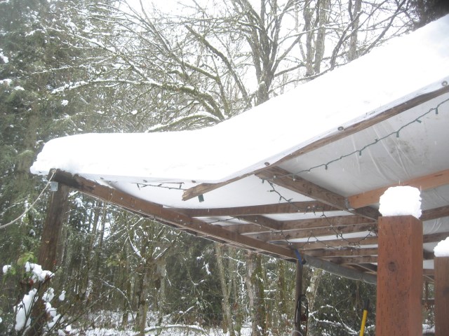 super-bowl-snow-dig-out-2-6-17-6