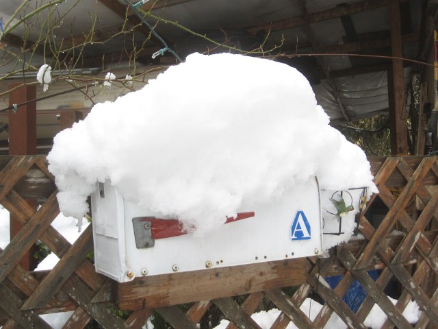 super-bowl-snow-dig-out-2-6-17-7