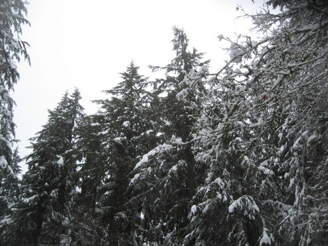 super-bpwl-snow-2-5-17-1