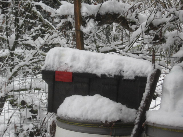 super-bpwl-snow-2-5-17-10