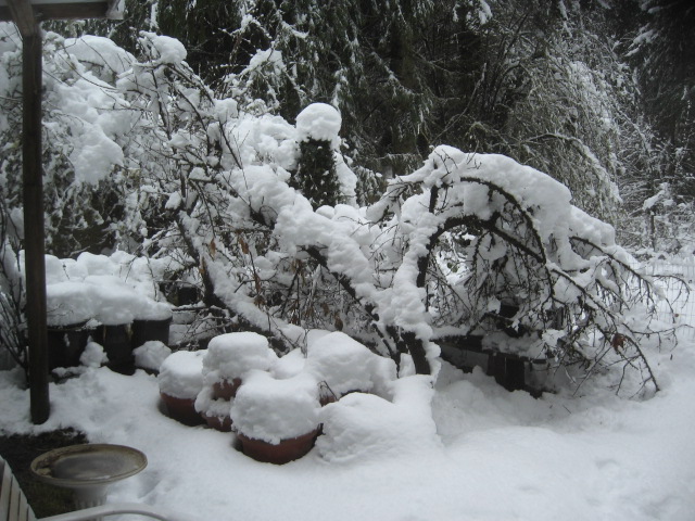 super-bpwl-snow-2-5-17-13