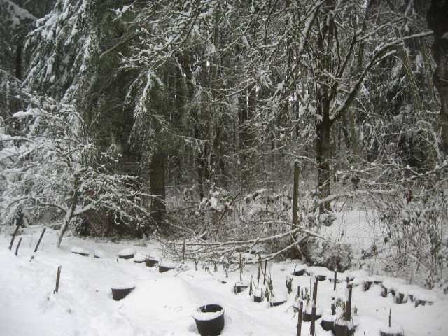 super-bpwl-snow-2-5-17-4