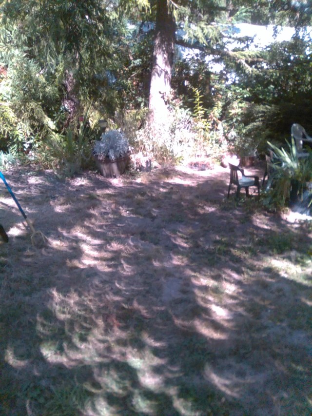 Eclipse crescents, PRD, 8. 21. 17